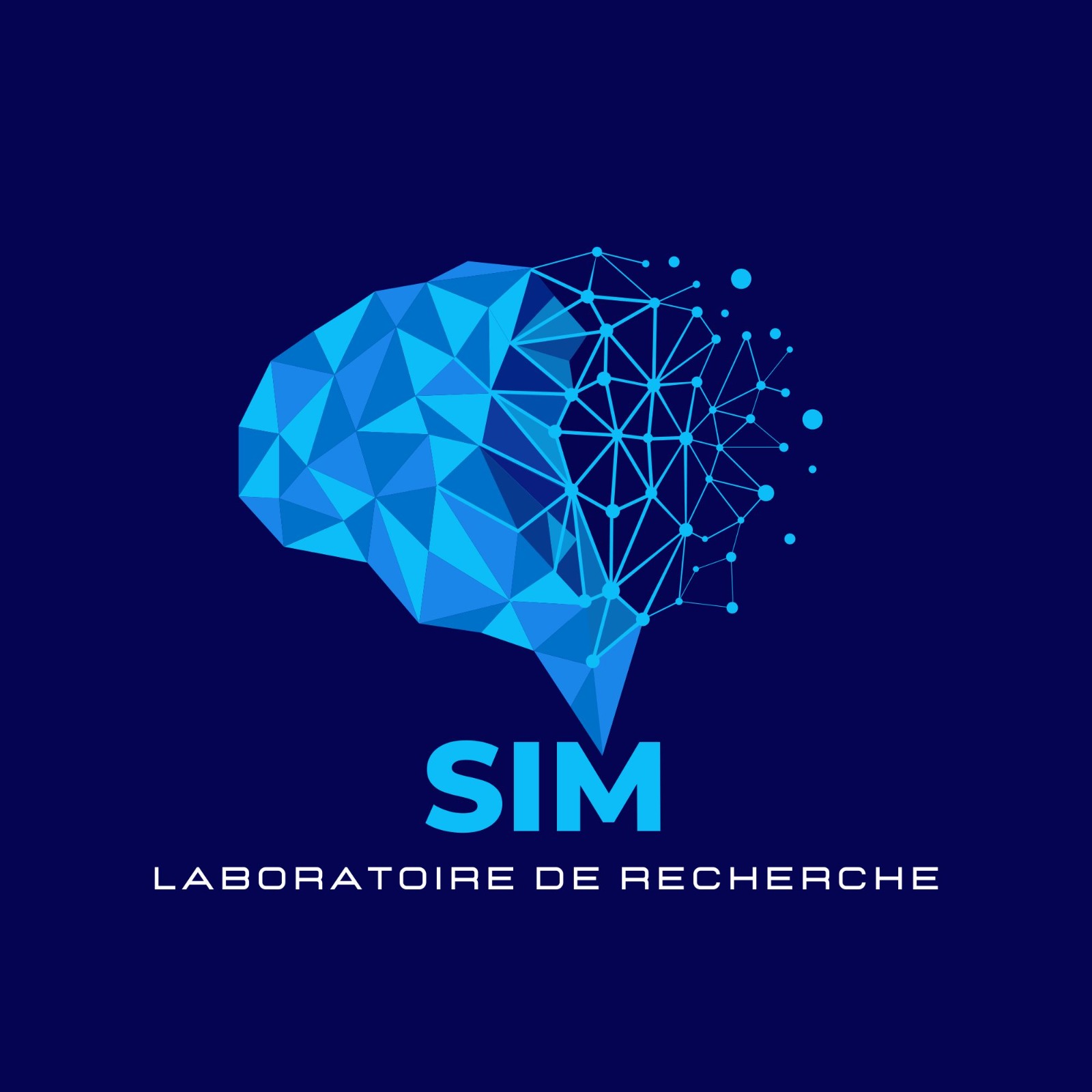Laboratoire SIM